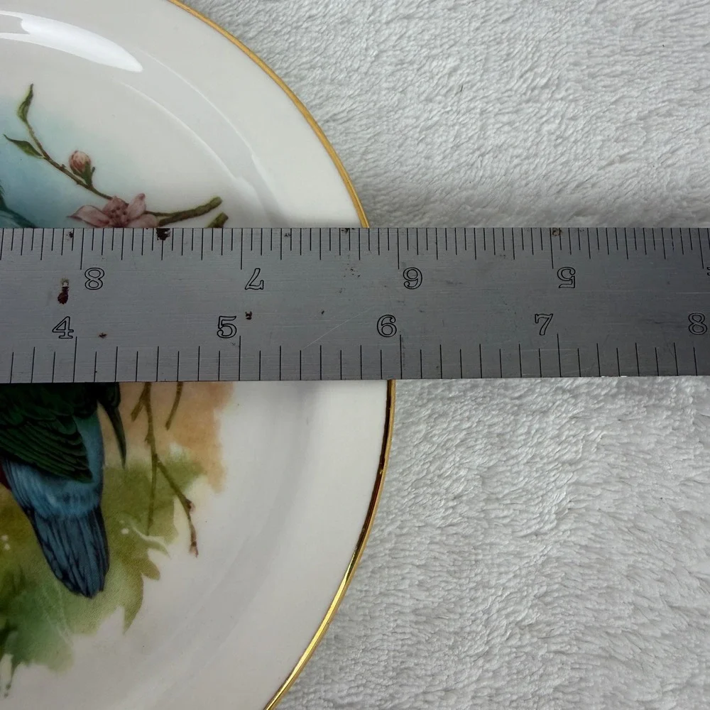 Royal‎ Vale Bone China Kingfisher Bird Decorative Plate E578 Made in England 6